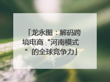 龙永图：解码跨境电商“河南模式”的全球竞争力