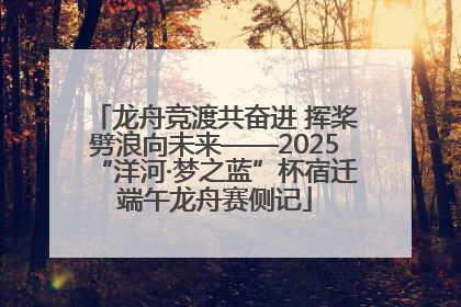 龙舟竞渡共奋进 挥桨劈浪向未来——2025“洋河·梦之蓝”杯宿迁端午龙舟赛侧记