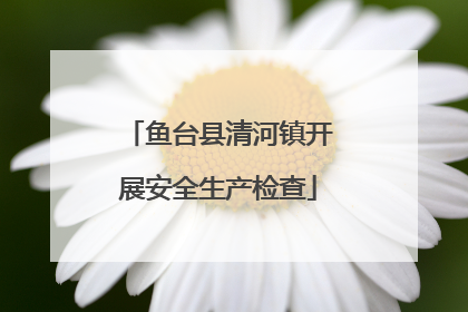 鱼台县清河镇开展安全生产检查