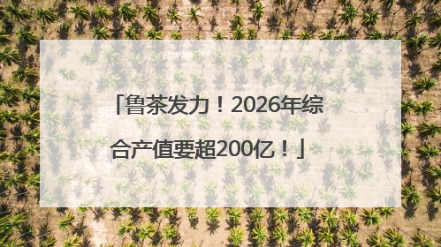 鲁茶发力！2026年综合产值要超200亿！