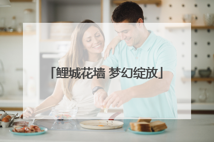 鲤城花墙 梦幻绽放