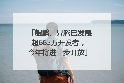 鲲鹏、昇腾已发展超665万开发者，今年将进一步开放