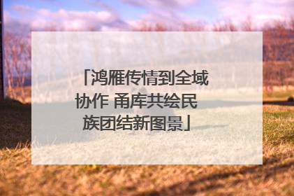 鸿雁传情到全域协作 甬库共绘民族团结新图景