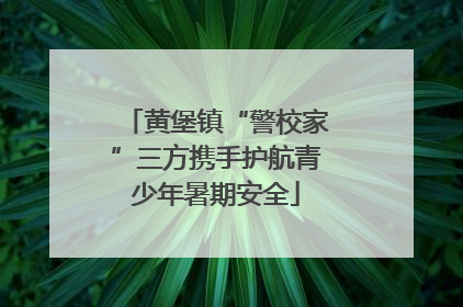 黄堡镇“警校家”三方携手护航青少年暑期安全