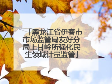 黑龙江省伊春市市场监管局友好分局上甘岭所强化民生领域计量监管