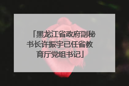 黑龙江省政府副秘书长许振宇已任省教育厅党组书记