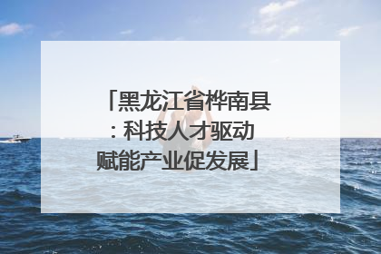 黑龙江省桦南县：科技人才驱动 赋能产业促发展