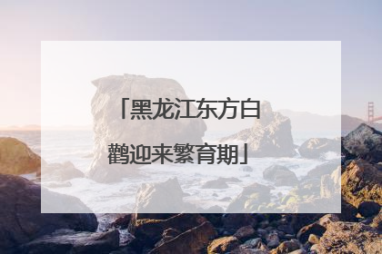 黑龙江东方白鹳迎来繁育期