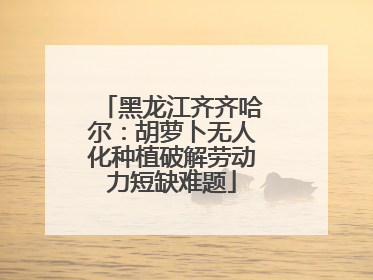 黑龙江齐齐哈尔：胡萝卜无人化种植破解劳动力短缺难题