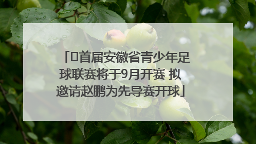 ﻿首届安徽省青少年足球联赛将于9月开赛 拟邀请赵鹏为先导赛开球
