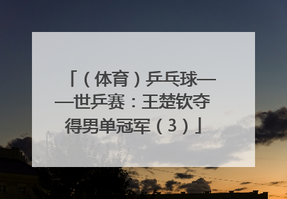 （体育）乒乓球——世乒赛：王楚钦夺得男单冠军（3）