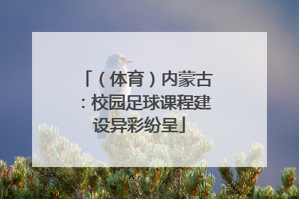 （体育）内蒙古：校园足球课程建设异彩纷呈