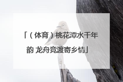 （体育）桃花潭水千年韵 龙舟竞渡寄乡情
