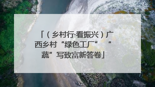 （乡村行·看振兴）广西乡村“绿色工厂” “蔬”写致富新答卷