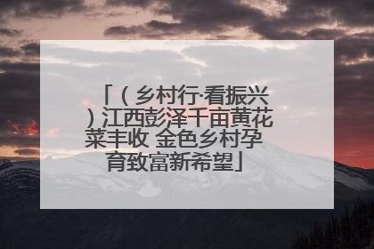 （乡村行·看振兴）江西彭泽千亩黄花菜丰收 金色乡村孕育致富新希望