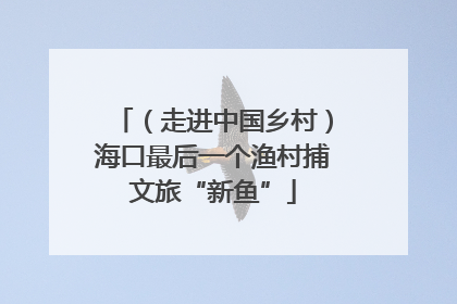 （走进中国乡村）海口最后一个渔村捕文旅“新鱼”