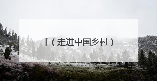 （走进中国乡村）茗新村破圈记：民族文化赋能 产业借势 “网红东风”