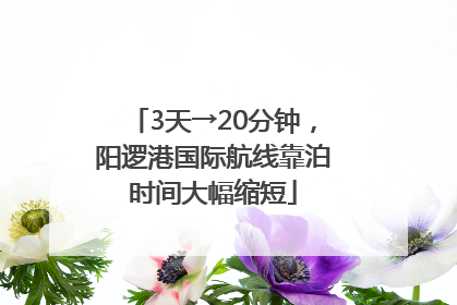 3天→20分钟，阳逻港国际航线靠泊时间大幅缩短