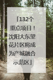 132个重点项目！沈阳大东望花片区将成为产城融合示范区