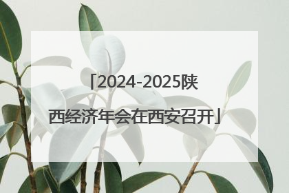 2024-2025陕西经济年会在西安召开