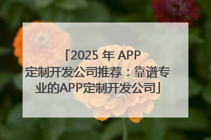 2025 年 APP 定制开发公司推荐：靠谱专业的APP定制开发公司