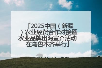 2025中国（新疆）农业经贸合作对接暨农业品牌出海宣介活动在乌鲁木齐举行
