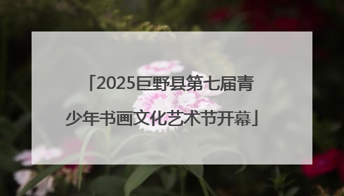 2025巨野县第七届青少年书画文化艺术节开幕