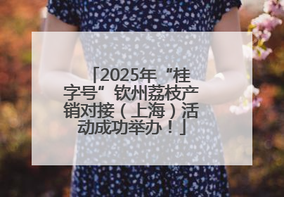 2025年“桂字号”钦州荔枝产销对接（上海）活动成功举办！