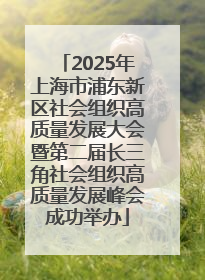 2025年上海市浦东新区社会组织高质量发展大会暨第二届长三角社会组织高质量发展峰会成功举办