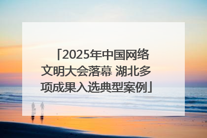 2025年中国网络文明大会落幕 湖北多项成果入选典型案例