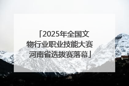 2025年全国文物行业职业技能大赛河南省选拔赛落幕