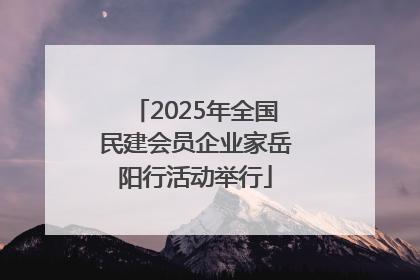 2025年全国民建会员企业家岳阳行活动举行