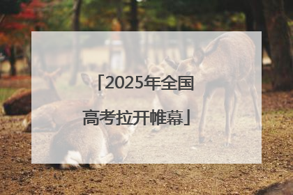 2025年全国高考拉开帷幕