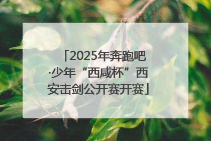 2025年奔跑吧·少年“西咸杯”西安击剑公开赛开赛