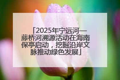2025年宁远河—藤桥河溯源活动在海南保亭启动，挖掘沿岸文脉推动绿色发展