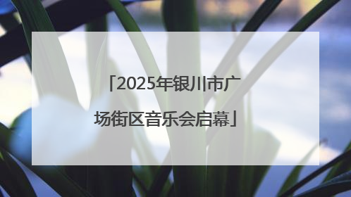 2025年银川市广场街区音乐会启幕