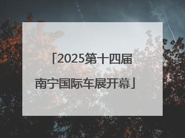 2025第十四届南宁国际车展开幕