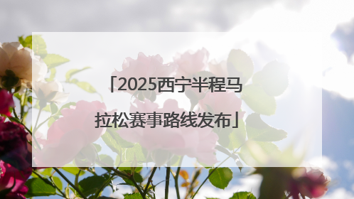 2025西宁半程马拉松赛事路线发布