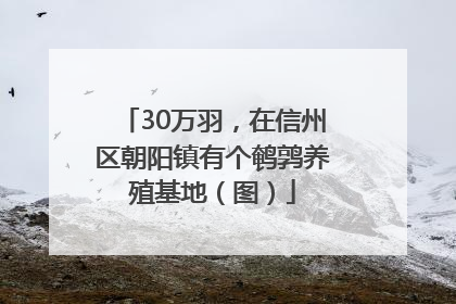 30万羽，在信州区朝阳镇有个鹌鹑养殖基地（图）