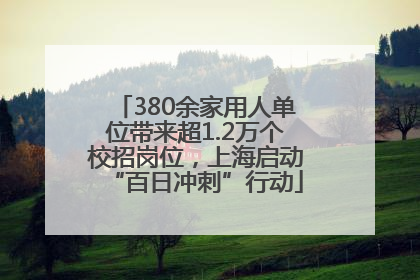 380余家用人单位带来超1.2万个校招岗位，上海启动“百日冲刺”行动