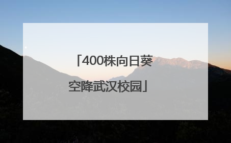 400株向日葵空降武汉校园