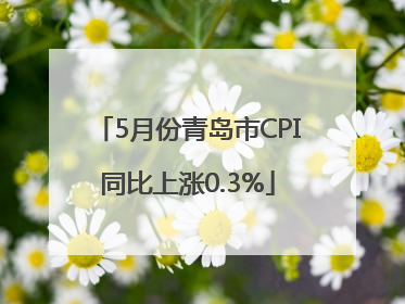 5月份青岛市CPI同比上涨0.3%