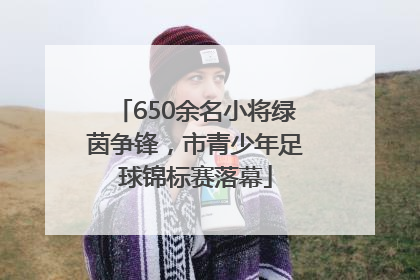 650余名小将绿茵争锋，市青少年足球锦标赛落幕