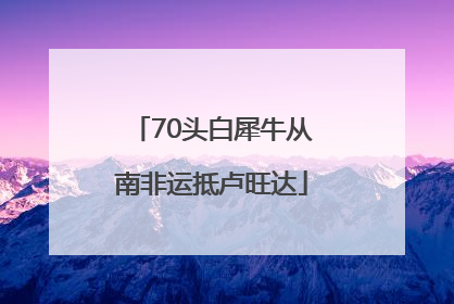 70头白犀牛从南非运抵卢旺达
