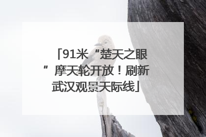 91米“楚天之眼”摩天轮开放！刷新武汉观景天际线