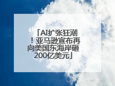 AI扩张狂潮！亚马逊宣布再向美国东海岸砸200亿美元