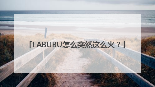 LABUBU怎么突然这么火？