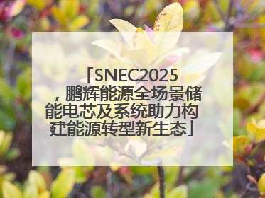 SNEC2025，鹏辉能源全场景储能电芯及系统助力构建能源转型新生态
