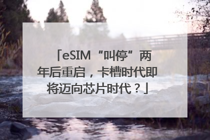 eSIM“叫停”两年后重启，卡槽时代即将迈向芯片时代？